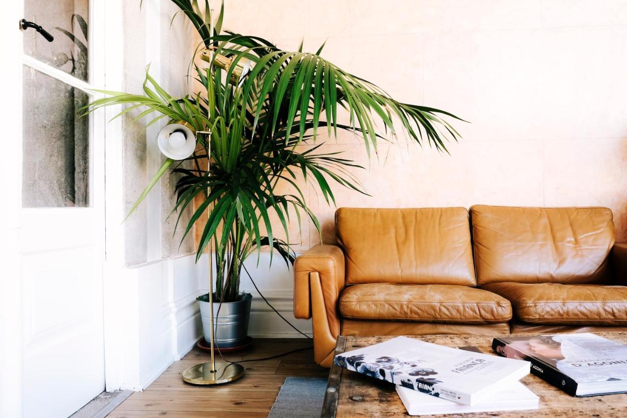 Dona Emilia Guest House & Studio Apartment Building Βιάνα ντο Καστέλο Εξωτερικό φωτογραφία